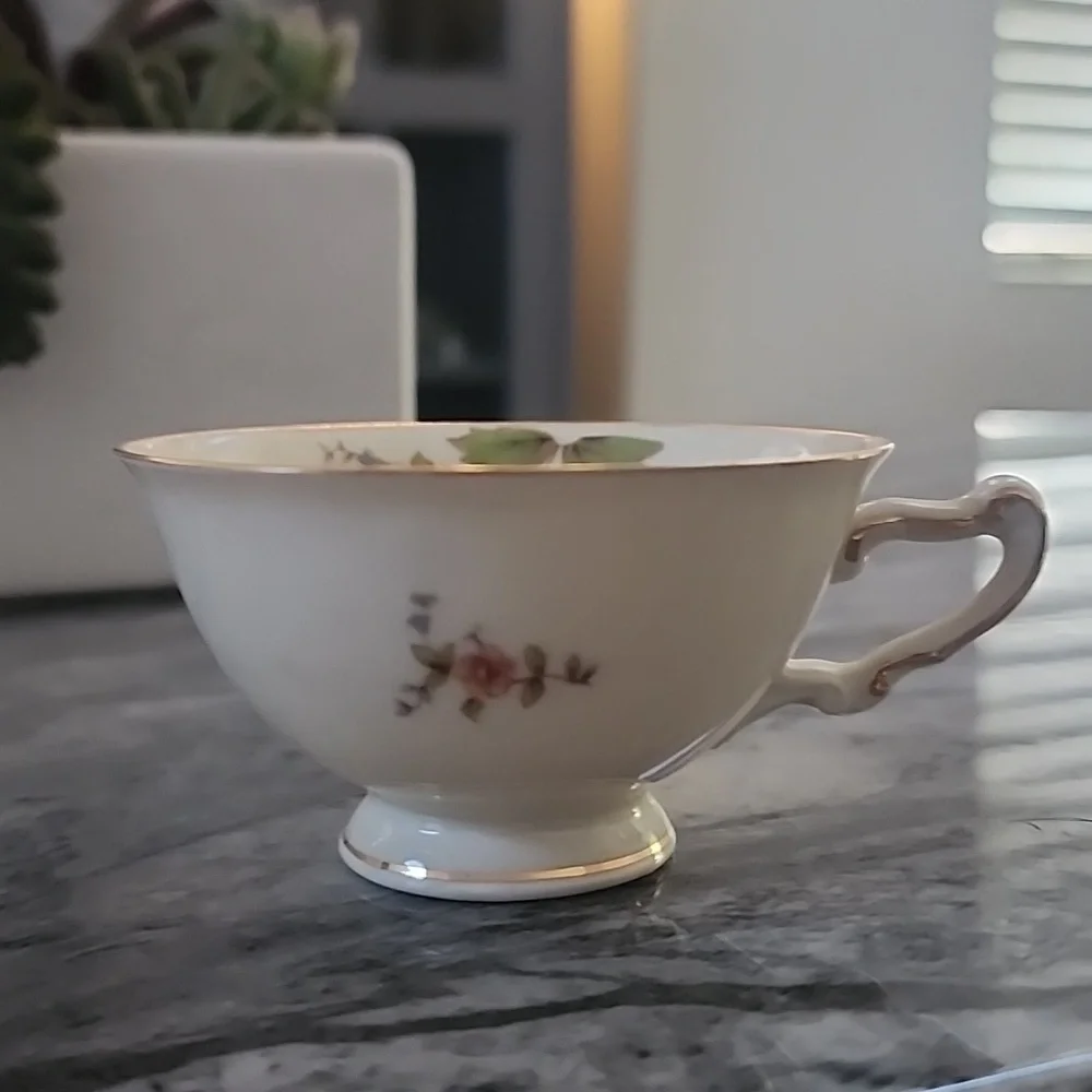 H&C Co. Selb Bavaria Germany Heinrich Teacup And Saucer,  Cream Color